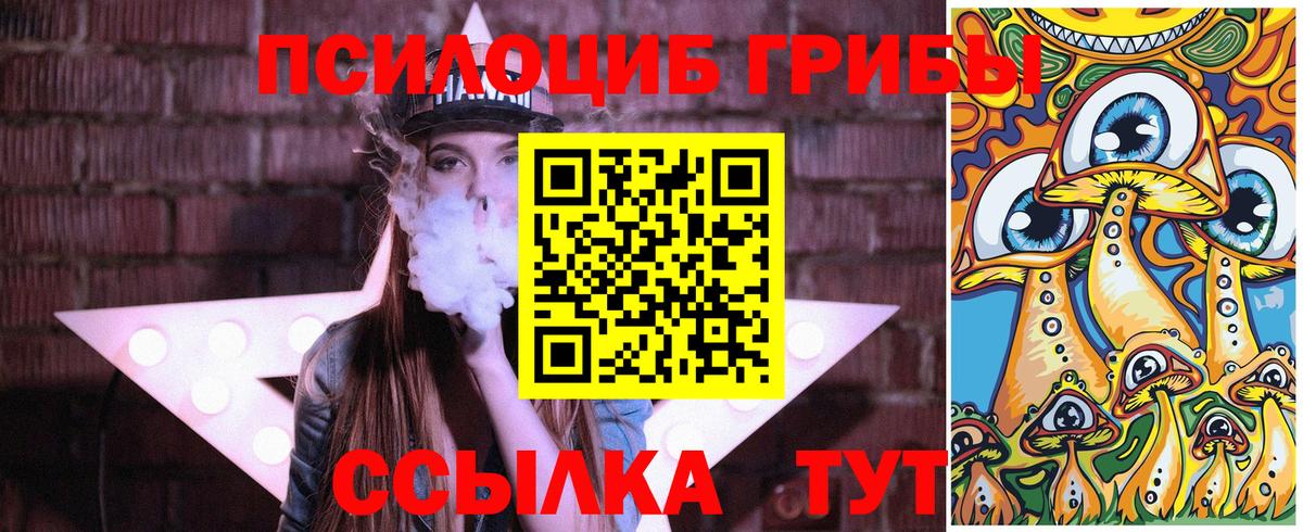 Самара  Галлюциногенные грибы MAGIC MUSHROOMS  Псилоцибиновые грибы GOLDEN TEACHER  Вход с VPN 